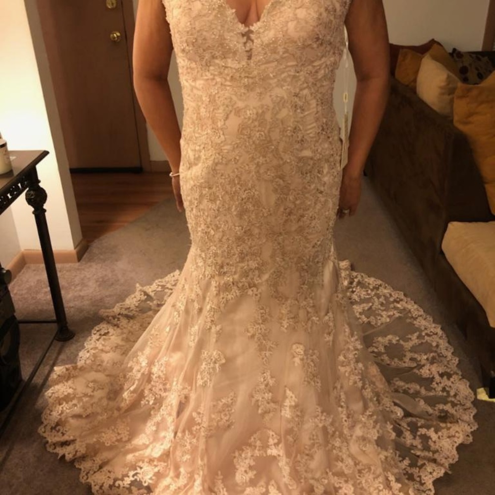Mermaid Wedding Dress with Lace Appliqués